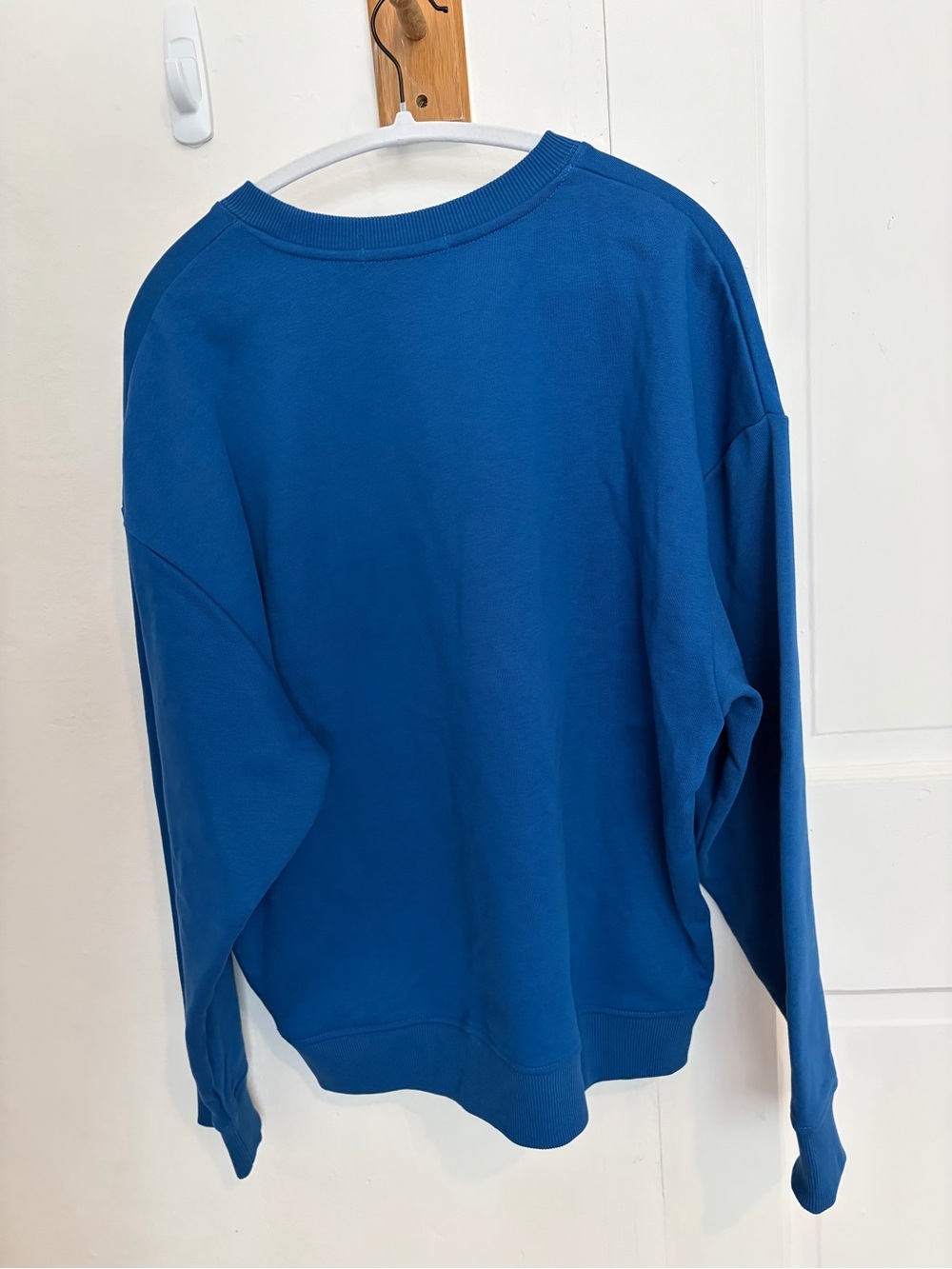 Favorite Daughter Oversized Sweatshirt | Sapphire S (sold out) - Picture 11 of 15